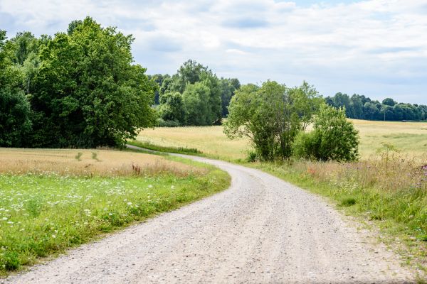 Stone Driveway Repair in Naperville