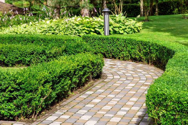 Paved Landscaping in Naperville