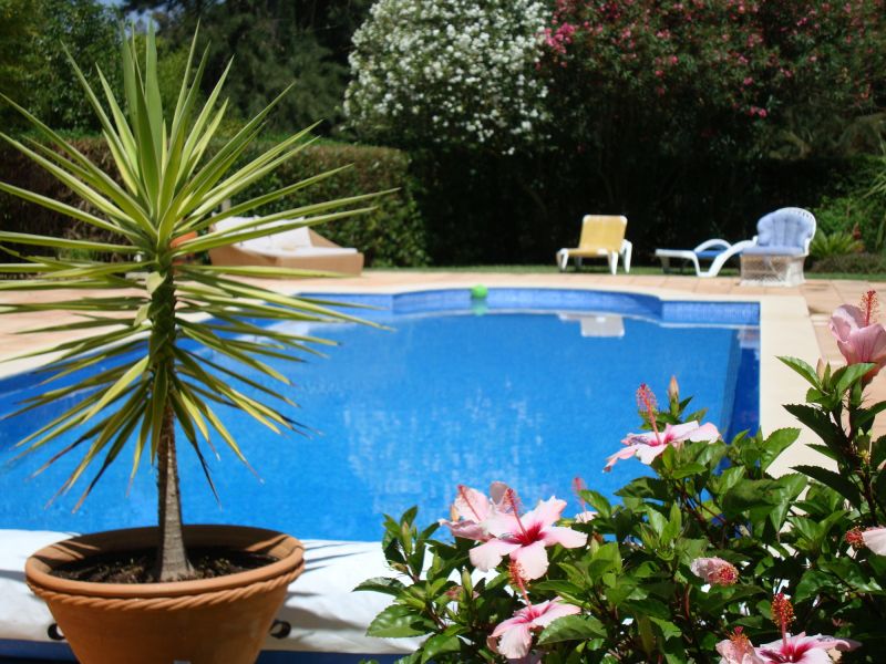 Poolside Hardscaping